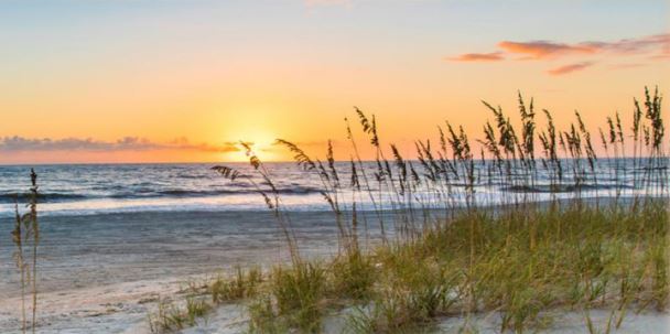 Ocean scene at Amelia Island